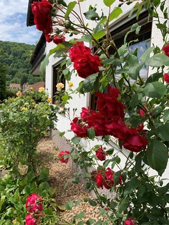 Unser gepflegter Garten