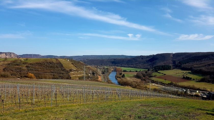 Weingut & Gästehaus Franzmann - Naheweinstraße