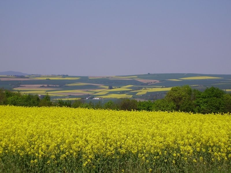 Ferienbauernhof Familie Loch in der Vordereifel