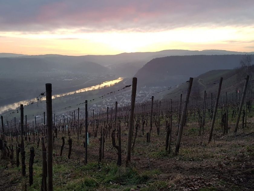 Ferienweingut Heiko Kettern - römische Weinstraße