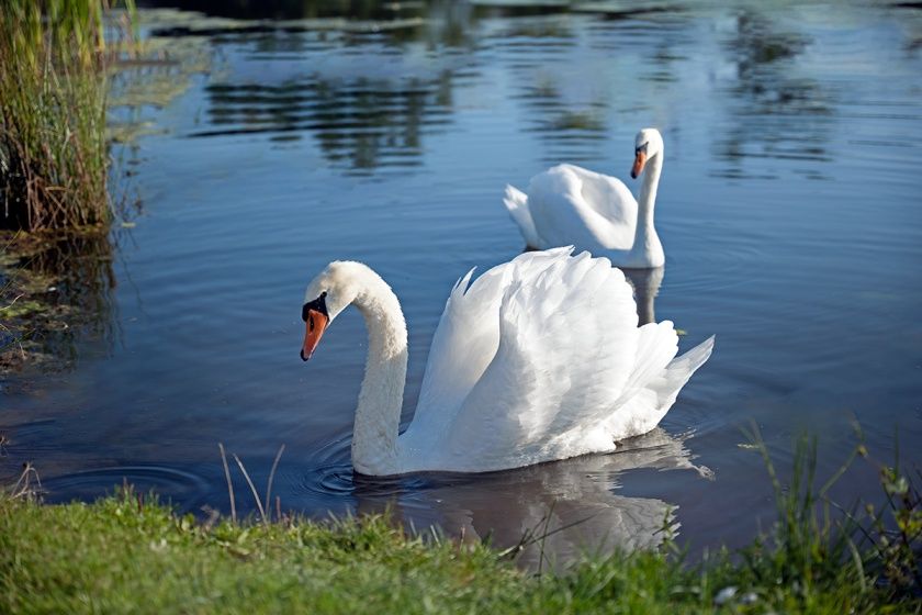 Wäller Camp am Seeweiher Mengerskirchen