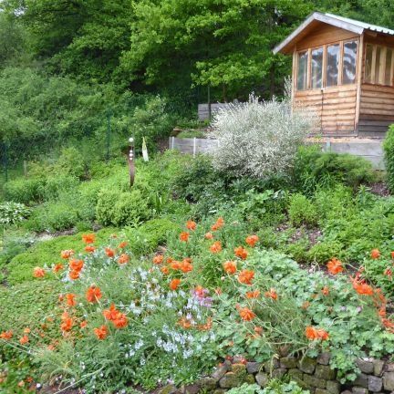 Im Frühling ist das weiße Beet noch rot