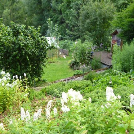 Blick vom weißen Beet in den Garten