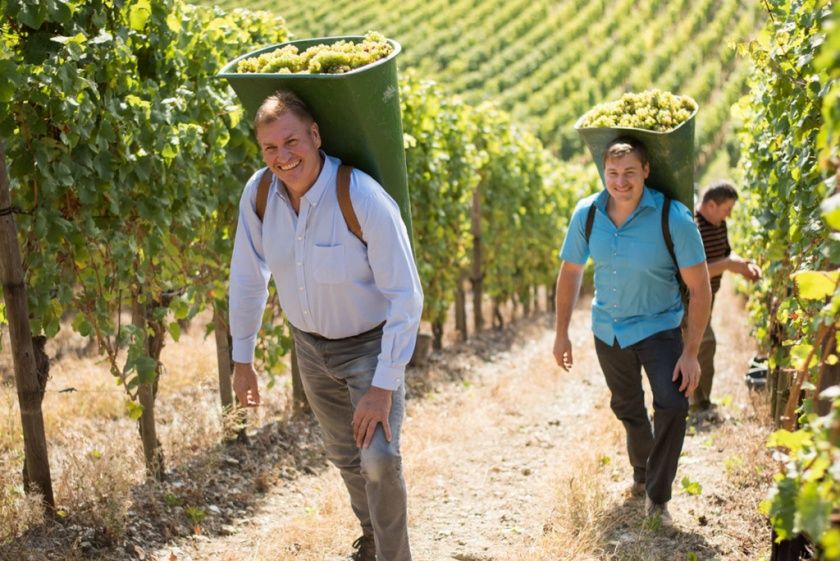 Bioweingut Hubertushof - Gästezimmer & Ferienwohnung