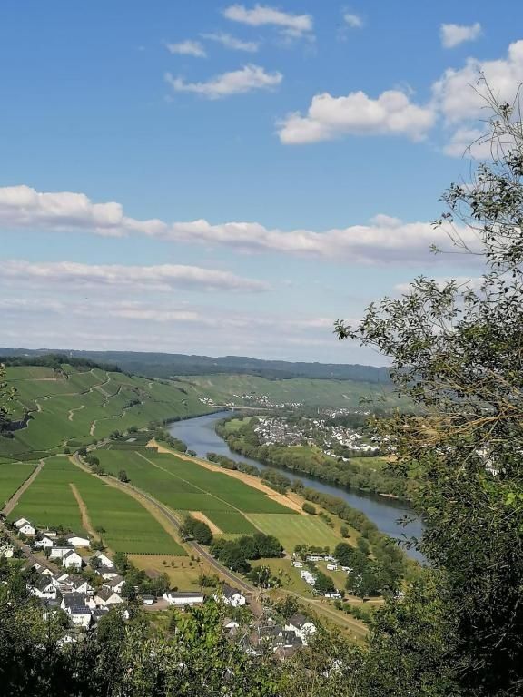 Weingut und Gästehaus Erz