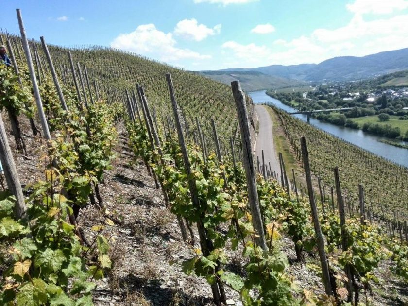 Weingut und Gästehaus Erz