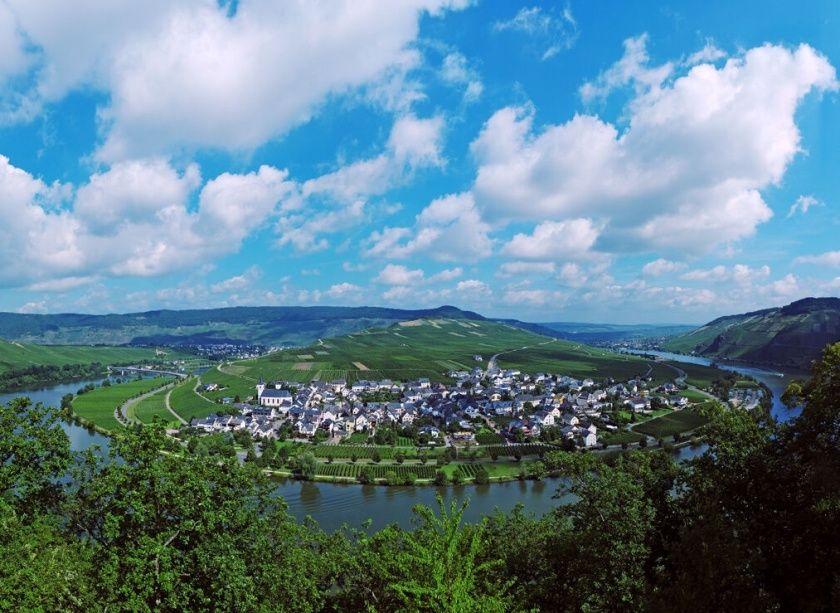 Gästehaus Weingut Brennerei Zisch