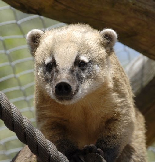 Wild- und Wanderpark Weiskirchen-Rappweiler