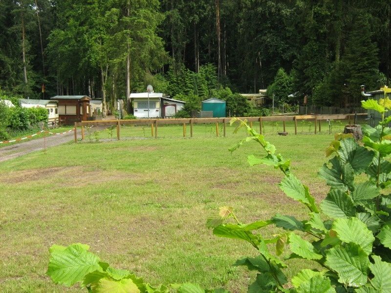 Naturcampingplatz Am Berwartstein im Dahner Felsenland