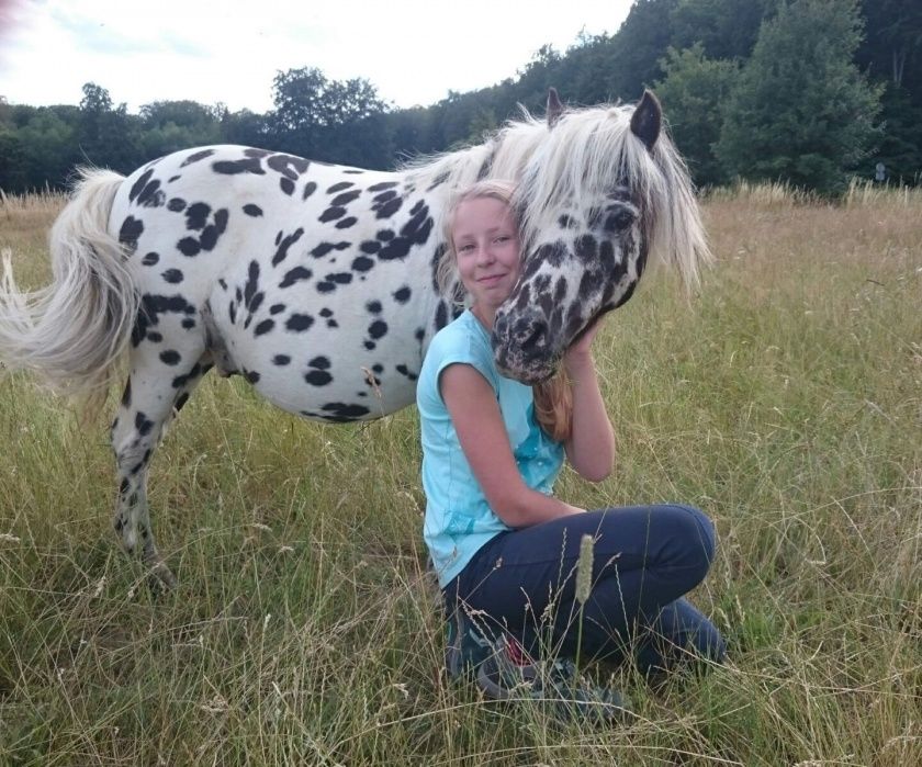 Reit- und Fahrstall Ponyhof Ludwig