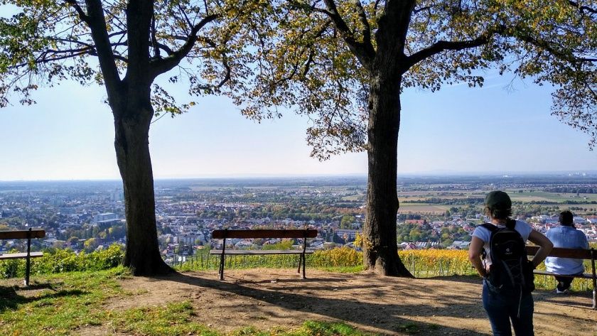 Blick in den Odenwald