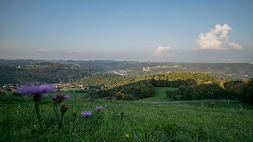 Ferienwohnung An der Hardt