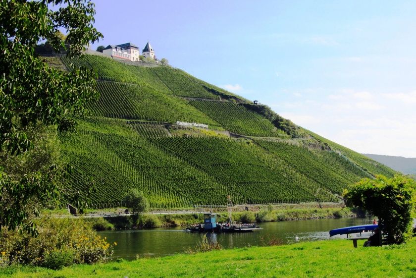 Ferienweingut Robert Busch