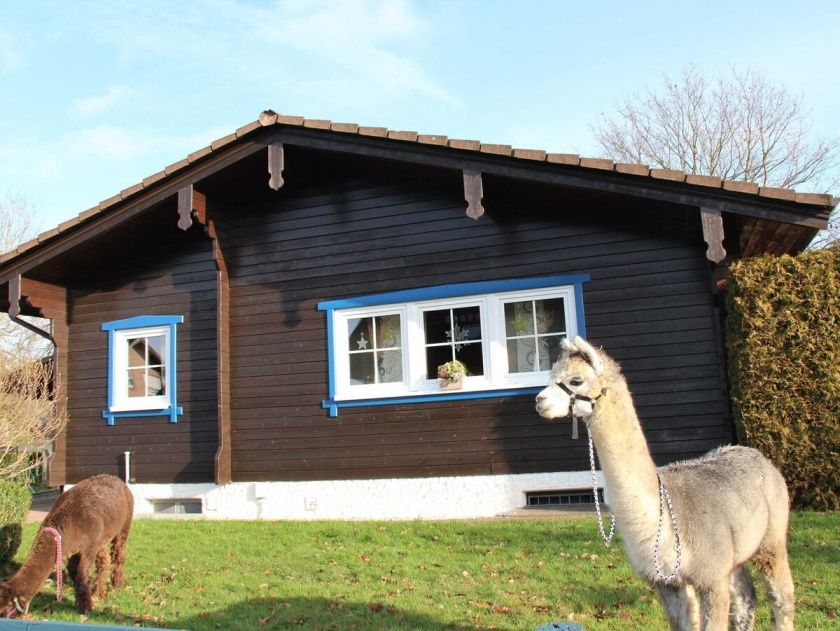 Ferienhaus Blockhaus in Vöhl-Harbshausen am Edersee