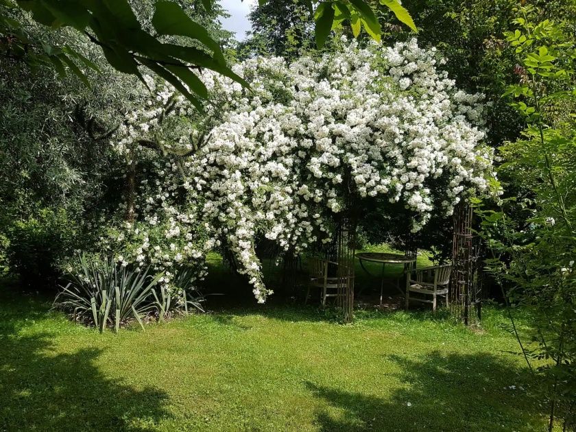 Ferienwohnung Forsthaus Ferien