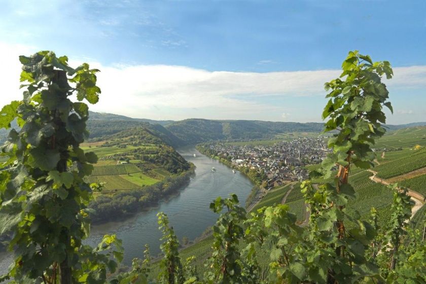 Weingut & Gästehaus Manfred Christoffel