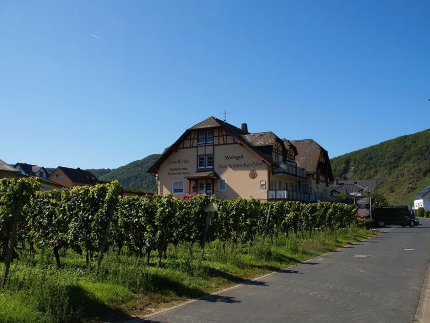 Ferienweingut Hugo Friederich & Sohn