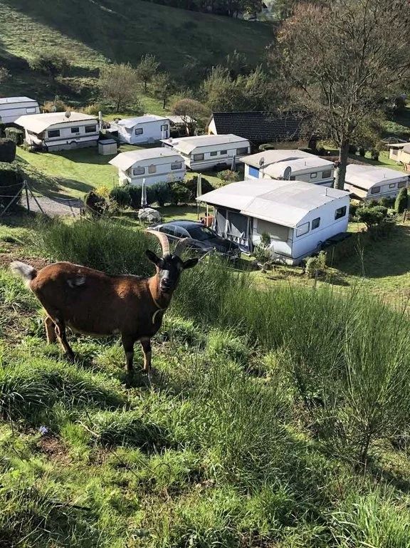 Terrassencamping Schlierbach