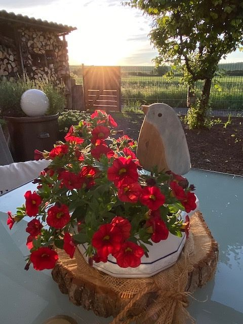 Terrasse/Sonnenuntergang