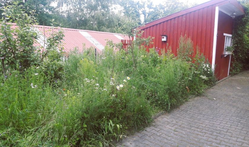 Ferienwohnung Ullrich im Spessart