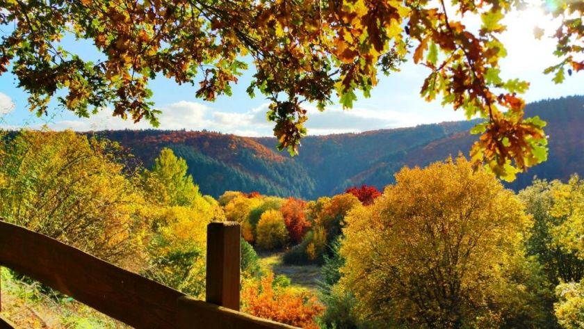 Eifel-Cottage am Waldseepfad