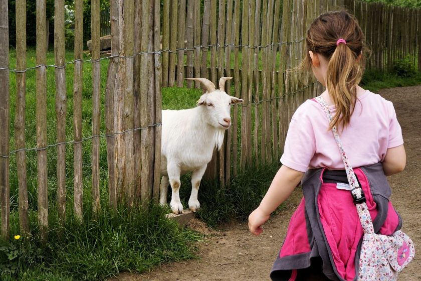 Tierpark Walldorf