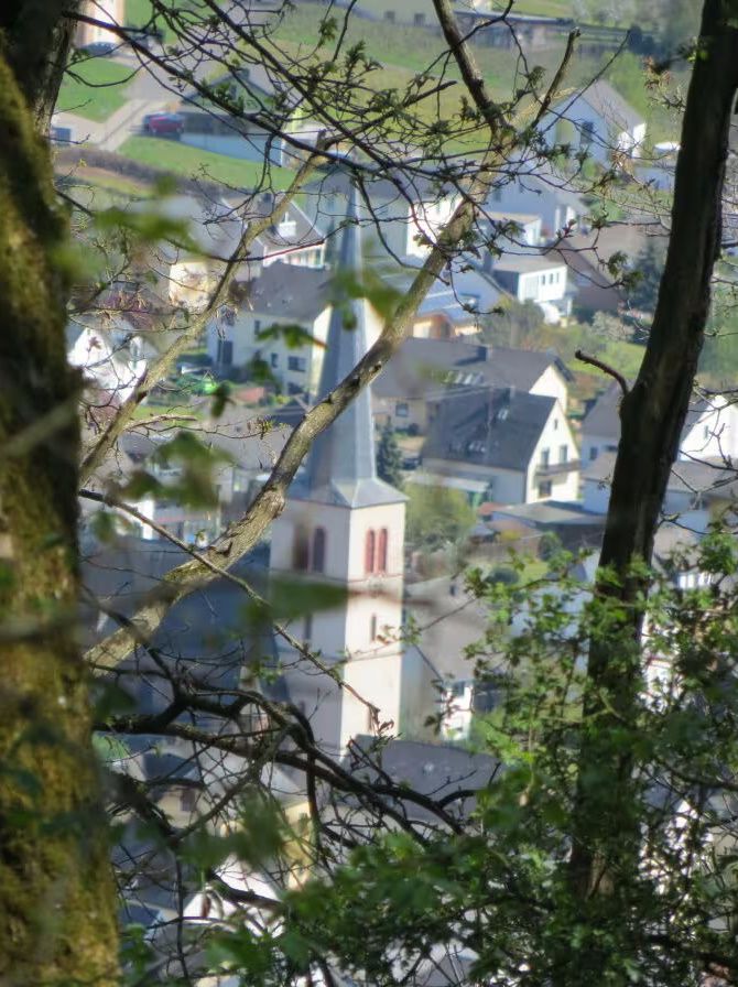 Sparziergang auf der gegenüberliegenden Moselseite