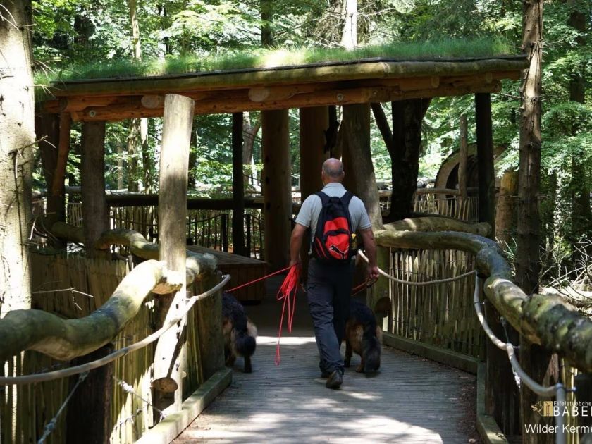 Ferienhaus Eifelstübchen - Urlaub mit dem Hund