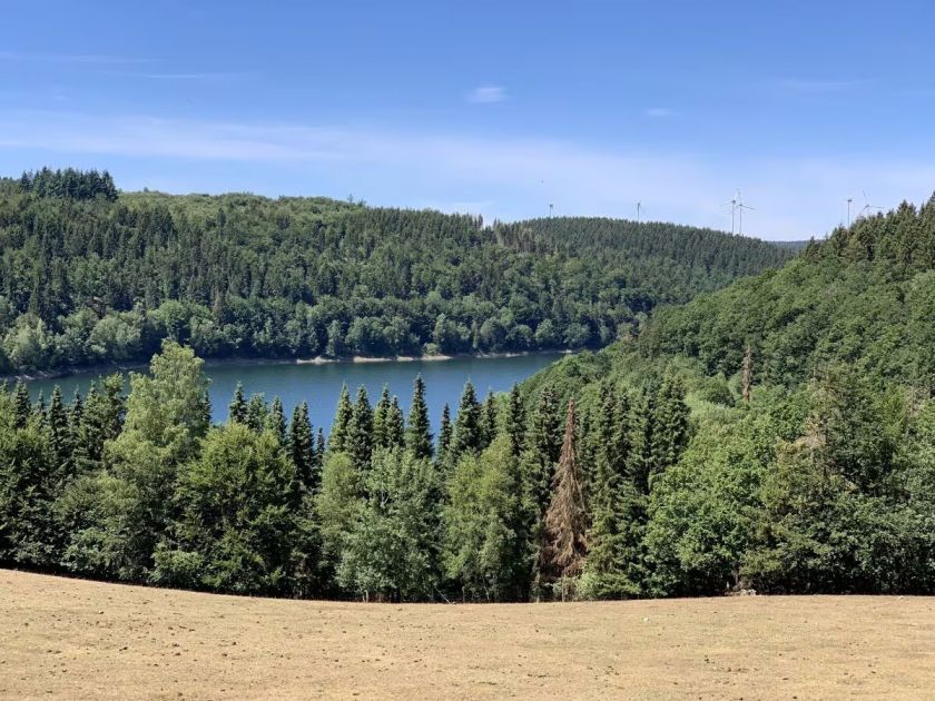 Ferienhaus Eifelstübchen - Urlaub mit dem Hund