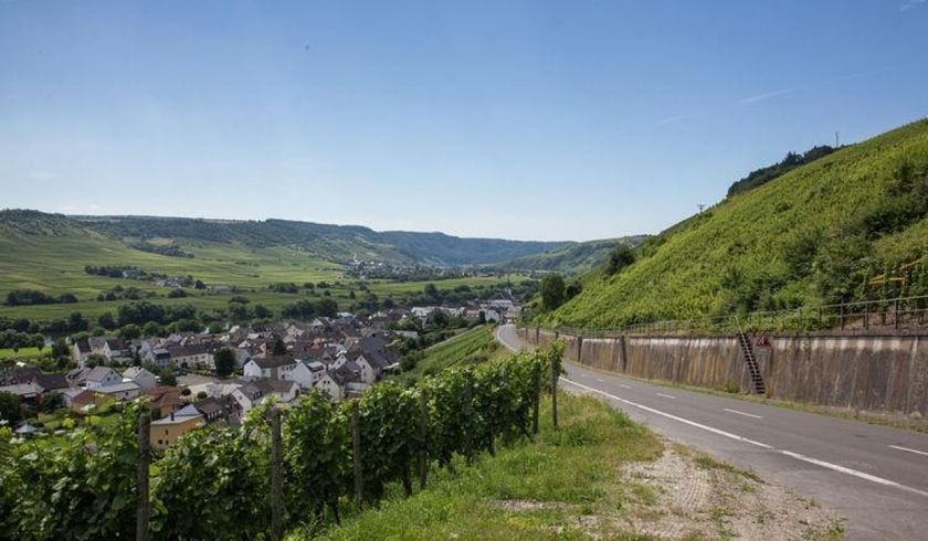 Kastanienhof Weingut Esseln