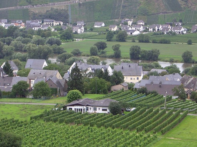 Weingut - Gästehaus Rudi und Paula Reiter