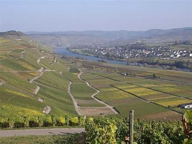 Blick auf Brauneberg