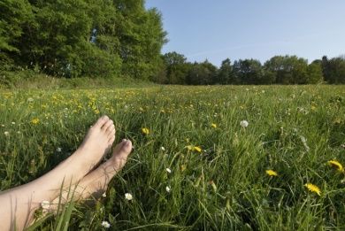 Grüne Wellness ... Natur pur & Verwöhntage im Westerwald