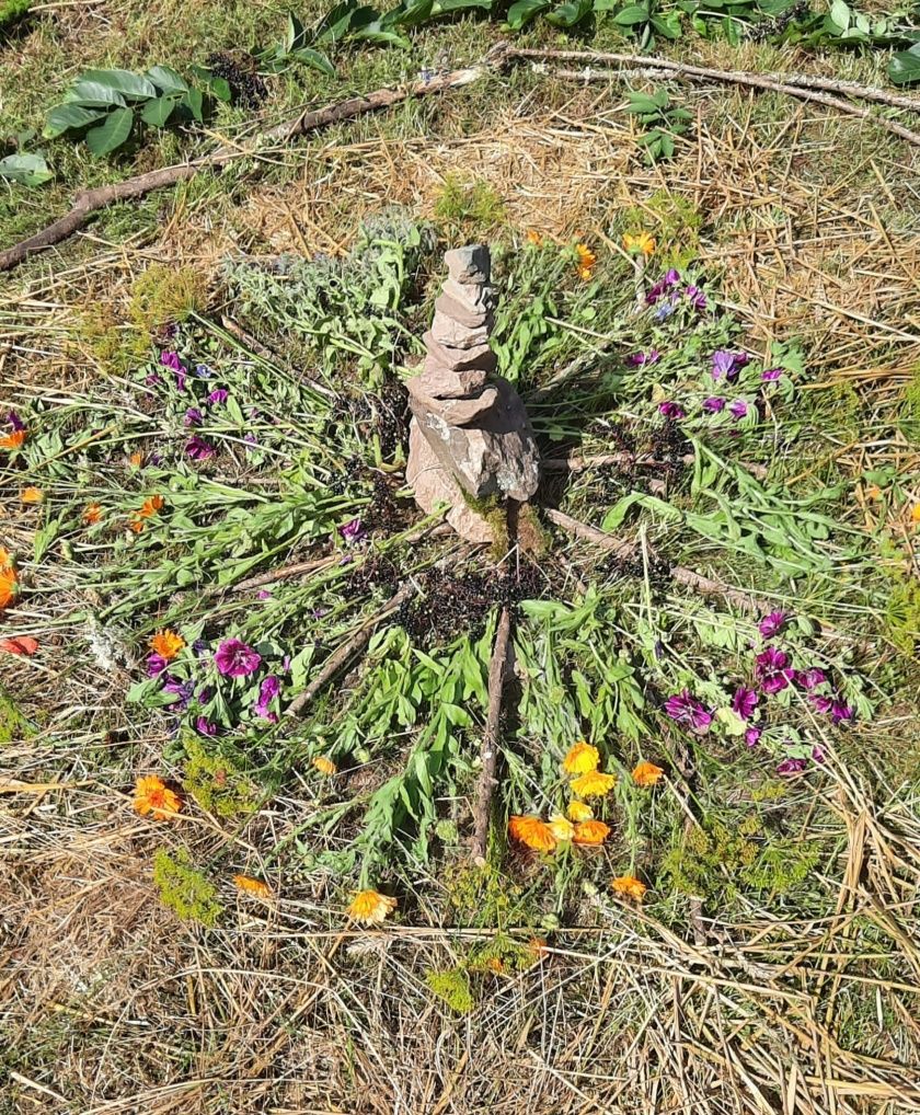 Ein Wochenende im Kraftort Wald