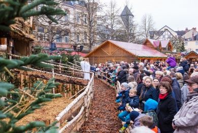 Weihnachtsdorf mit Lebender Krippe