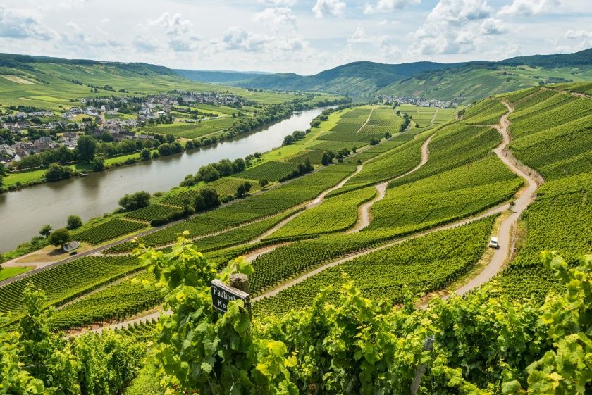 Wein-Straßenfest in der Nussbaumalleee