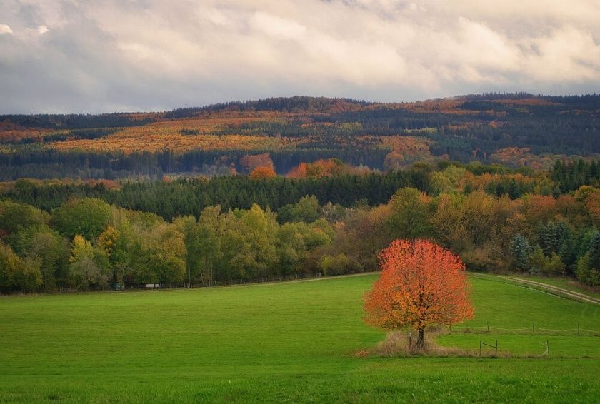 Traumschleife Zwischen den Wäldern