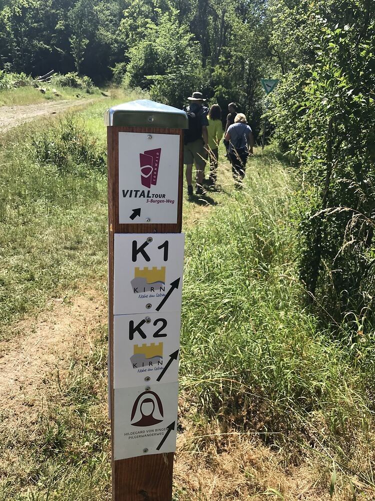 Vitaltour 3-Burgen-Weg durchs Trübenbachtal