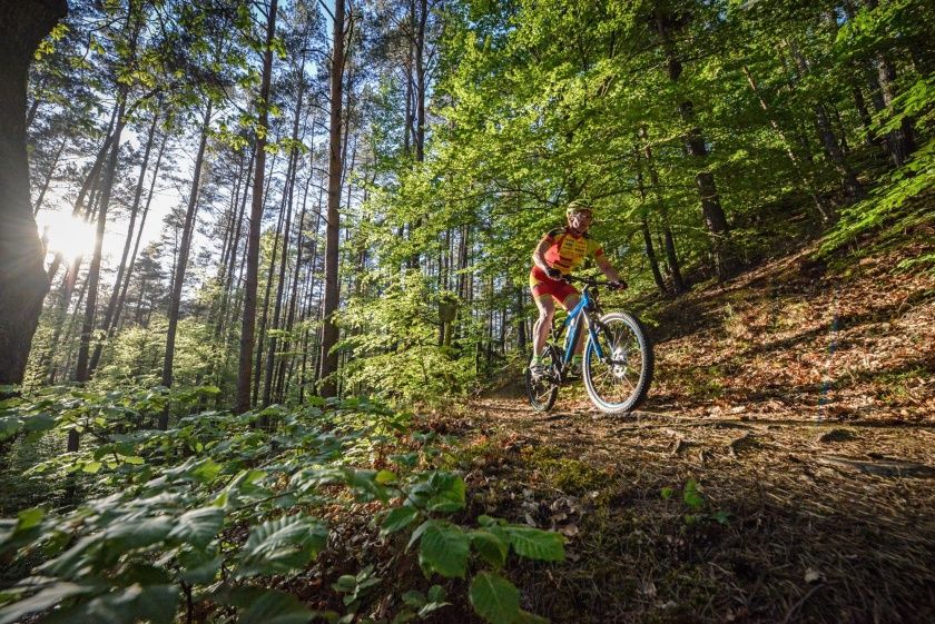 Mountainbikepark Pfälzerwald Tour 13 Dahner Felsenland