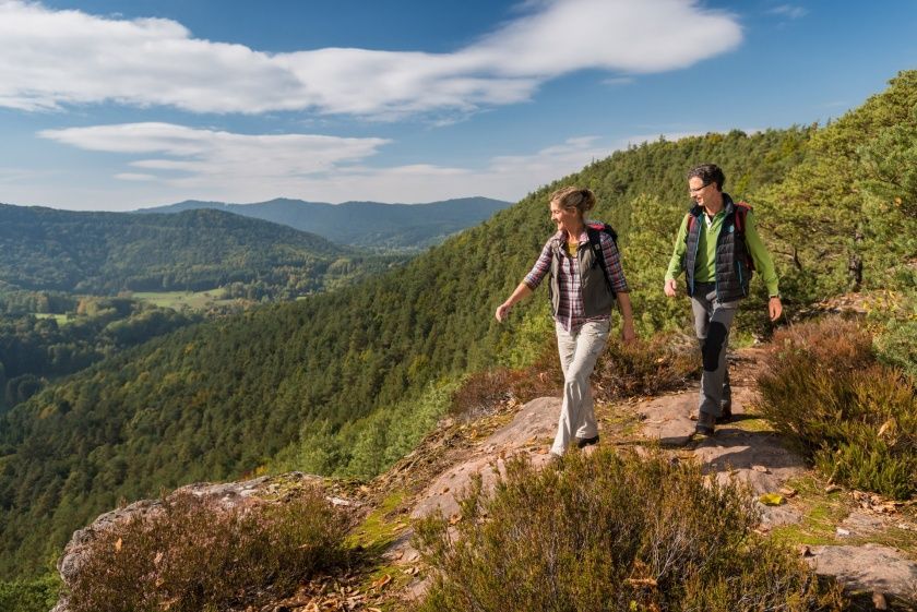 Dimbacher Buntsandstein Höhenweg 