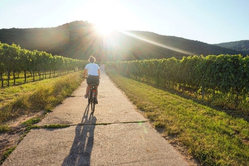 Südpfalz Radweg 